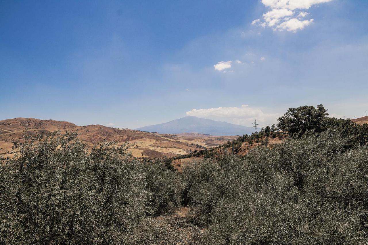 Le Querce Di Cota Villa Troina Buitenkant foto