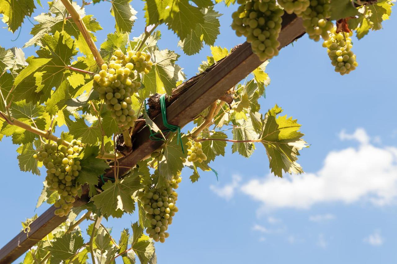 Le Querce Di Cota Villa Troina Buitenkant foto